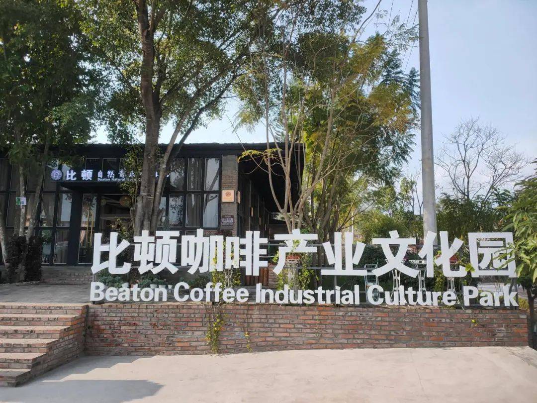 产业融合发展 推动特色产业兴旺PG麻将胡了模拟器隆阳：咖啡(图3)